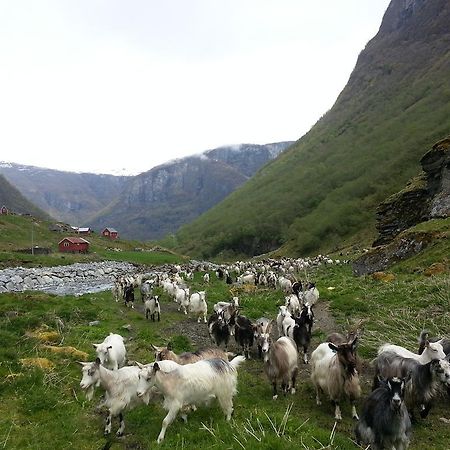 Undredal Gjestehus Hotel Quarto foto